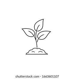 Leaf nature line icon on white. Vector 