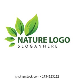 leaf nature logo concept template