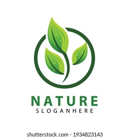 leaf nature logo concept template