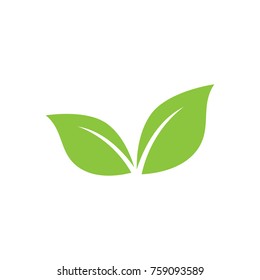 
Leaf nature logo design template