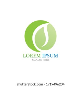 Leaf nature logo and symbol vector