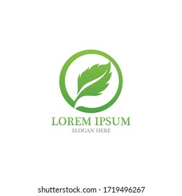 Leaf nature logo and symbol vector