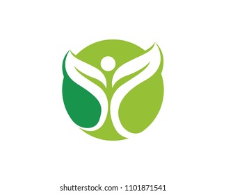 Leaf nature logo template