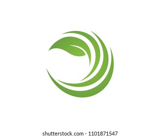 Leaf nature logo template