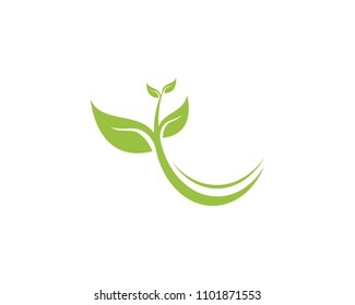 Leaf nature logo template