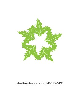 leaf of nature logo template