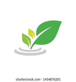 leaf of nature logo template