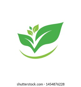 leaf of nature logo template