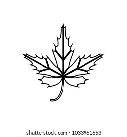 Leaf nature maple icon vector