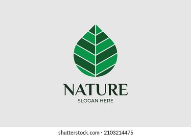 leaf nature modern style logo set