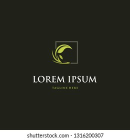 Leaf Nature Organic Abstract Creative Friendly Business Logo
