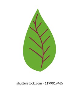 Leaf nature symbol