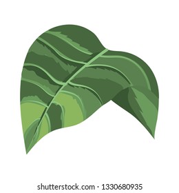 Leaf nature symbol isolated