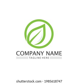LEAF AND NATURE TREE LOGO FOR BUSINESS VECTOR GREEN PLANT ECOLOGY DESIGN ICON