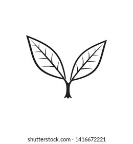 leaf and nature vector in black and white