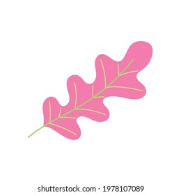 leaf nature vegetation isolated style