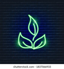 Icono de neón hoja. Ecología Vector símbolos de color de moda. Concepto ecológico. Ilustración brillante para el diseño.