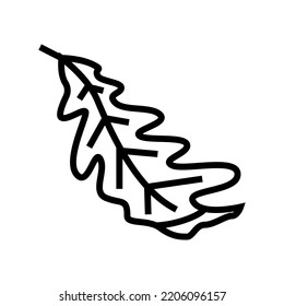 leaf oak autumn  line icon vector. leaf oak autumn  sign. isolated contour symbol black illustration