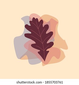 The leaf of the Oak plant from tropical forests are isolated against a fall background. Can be used for greeting cards, flyers, invitations, web design, and everything