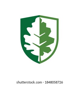leaf oak with shield vector logo