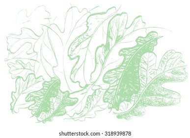 Leaf of oak tree. Autumn defoliation in the nature. Background design template.