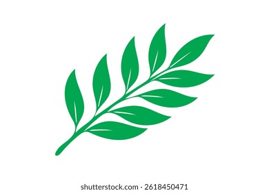 folha de silhueta do vetor da oliveira com fundo branco.