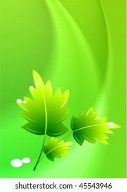 Leaf on Green Wave Background Original Vector Illustration