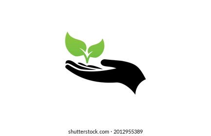 Leaf on hand icon vector 