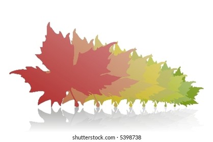 Leaf on season changing.