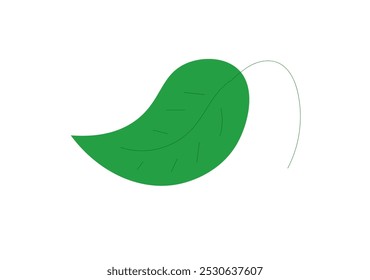 a leaf on a thin twig on a white background