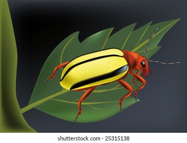 leaf on a tree and a yellow bug
