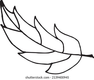 leaf on a white background