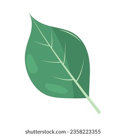 Blatt auf weißem Hintergrund, Symbol einzeln auf Vektorgrafik