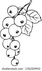 С mit einem Blatt auf weißem Hintergrund. monochrome Vektorgrafik.
