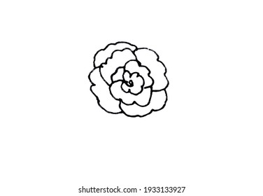 leaf on a white background, twigs and herbs, elements for decoration for cards and invitations