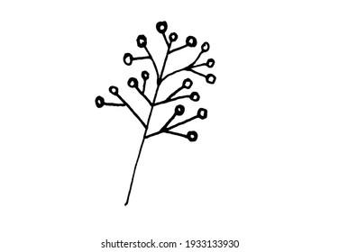 leaf on a white background, twigs and herbs, elements for decoration for cards and invitations