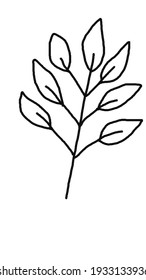 leaf on a white background, twigs and herbs, elements for decoration for cards and invitations