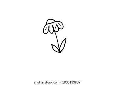 leaf on a white background, twigs and herbs, elements for decoration for cards and invitations