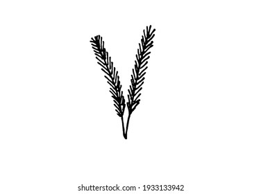 leaf on a white background, twigs and herbs, elements for decoration for cards and invitations