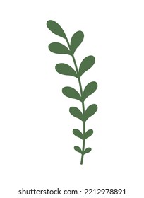 Leaf on white background. Vector illustration	