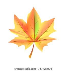 Leaf of orange and green color autumn fallen object vector illustration in realistic design. Fall foliage element, maple leafage vector