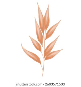 A leaf orange plant tree
