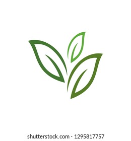 Leaf Organic Icon Vetor logo Template