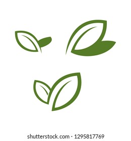 Leaf Organic Icon Vetor logo Template