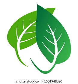 leaf organic logo - Vector