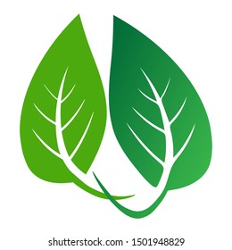 leaf organic logo - Vector