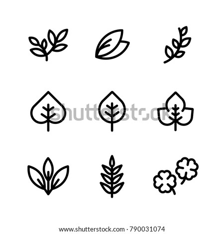 Leaf or organic plant icon