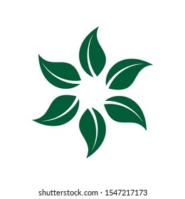 leaf ornament logo template, leaf vector element