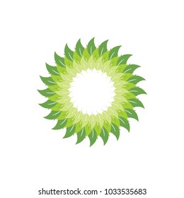 leaf ornament vector on white background