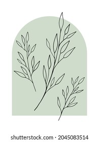 Leaf outline art on light sage green color background